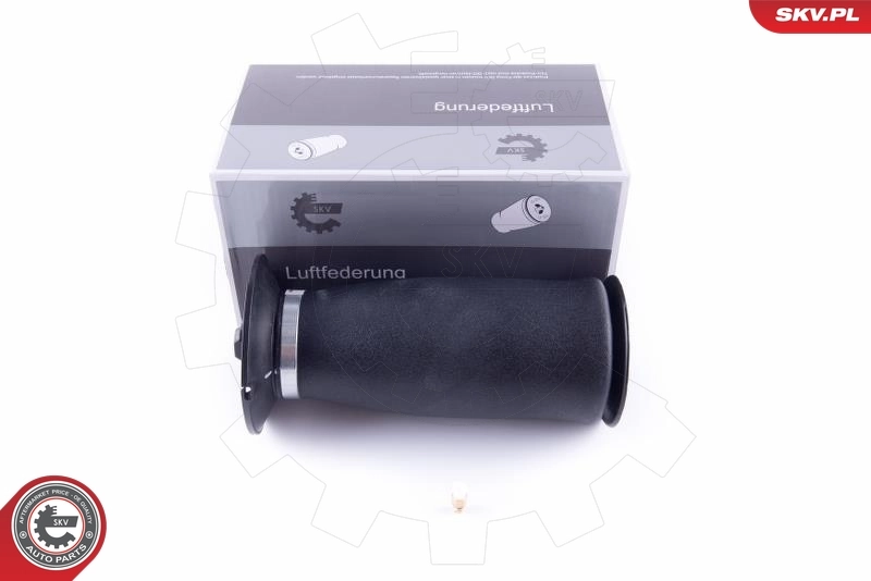 Air Spring, suspension
